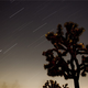 Illustration for article titled Meteors Are Forever